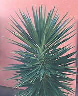 No5 Penthouse 2 Bedroom Apartment