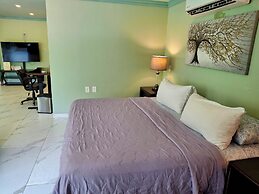 Truly one of the Finest Villa for Rent in Puerto Vallarta