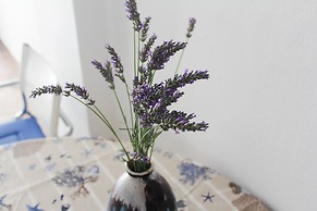 Cozy Apartment in Biograd for Maximum 4 Guests - 3 Minutes Walk to the