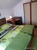 Apartment for 4 Guests Near the Beach in Biograd, Lovely Garden Modern