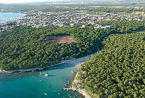 Apartment for 4 Guests Near the Beach in Biograd, Lovely Garden Modern