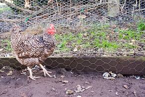 Super Spacious Barn Conversion With Free Wifi, Netflix Fireplace