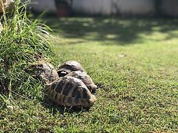 No5 Town-view Attic Studio