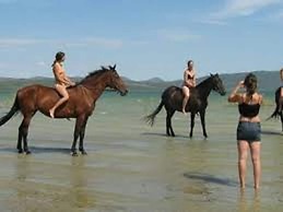 Great Location in Biograd, Large Terrace and 200m to the Beach! 2 Gues