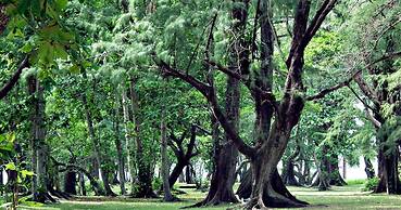 Safari 39sqm 1br Apartment Pool Walk to Naiyang Beach