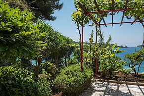 An Apartment Kamelia