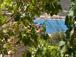 New And Completely Renovated Apartment 5-1