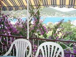 New And Completely Renovated Apartment 5-1