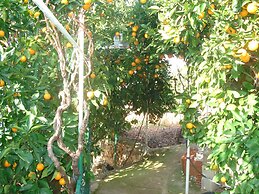 New And Completely Renovated Apartment 5-1