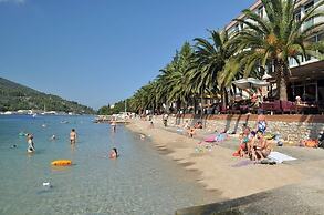 Beautiful new Apartment Near the Beach - Vela Luka -korcula Island