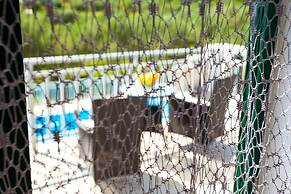 Villa With the Pool Near Vela Luka