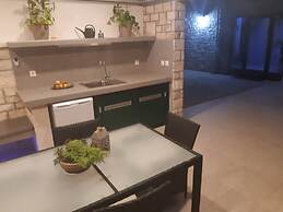 Villa With the Pool Near Vela Luka