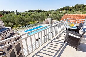 Villa With the Pool Near Vela Luka
