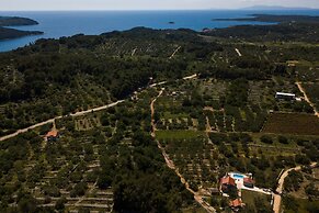 Villa With the Pool Near Vela Luka