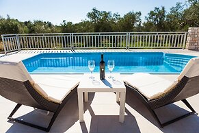 Villa With the Pool Near Vela Luka
