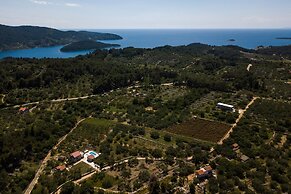 Villa With the Pool Near Vela Luka