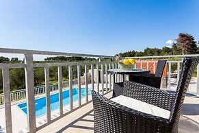 Villa With the Pool Near Vela Luka