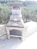 Villa With the Pool Near Vela Luka