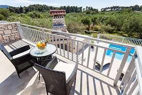 Villa With the Pool Near Vela Luka