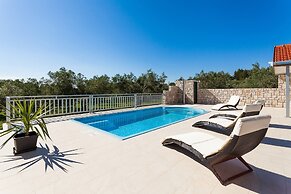 Villa With the Pool Near Vela Luka