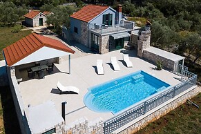 Villa With the Pool Near Vela Luka
