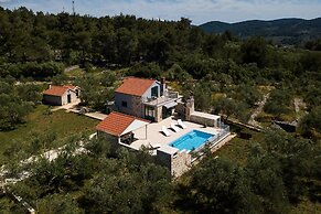Villa With the Pool Near Vela Luka