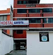 HOSTAL GAVIOTA DEL SUR TRES