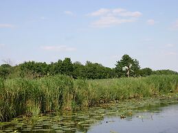 Stylish Thatched Villa with 2 Bathrooms near Giethoorn