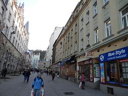 Apartment No. 22 Zeyerova 15