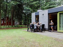 Well-kept Bungalow With a Fireplace in the Veluwe