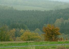 Bungalow in Eifel Near Forest and Mountains