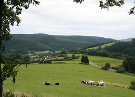 Bungalow in Eifel Near Forest and Mountains