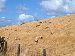 Luxury Chalet With two Bathrooms, Near the sSa on Texel