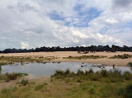 Chalet Near Loonse and Drunense Dunes