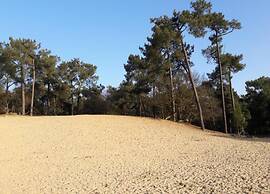 Chalet Near Loonse and Drunense Dunes