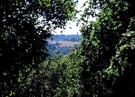 Bungalow in Netherlands With Bubble Bath