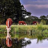 Fine Chalet near Water with Woodfired Hot Tub