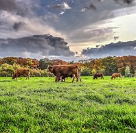 Fine Chalet near Water with Woodfired Hot Tub
