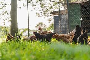 Stylish Farmhouse Escape