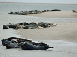 Traditional Villa With Dishwasher on Texel Near the Sea