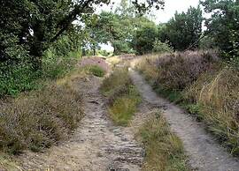 Family Villa + Sauna & Sunroom