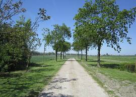 Spacious Countryside Villa