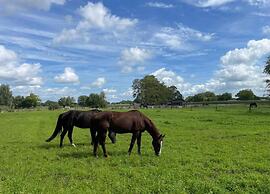 Getaway With Covered Veranda