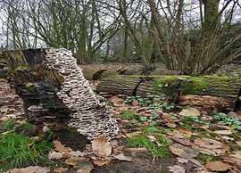 Charming Villa in Natural Surroundings