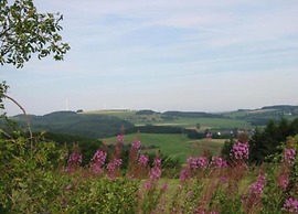 Feriendorf Reinskopf in der Eifel