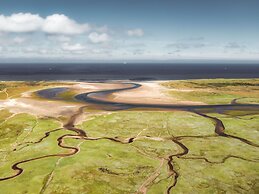 Restyled Apartment not far From the Beach and Sea, on Texel