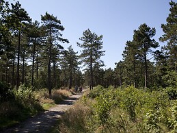 Restyled Apartment not far From the Beach and Sea, on Texel