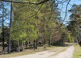 Bungalow With Fireplace, not far From Assen