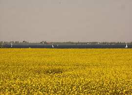 Holiday Home in Zierow With Garden