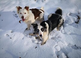 Feriendorf Reinskopf in der Eifel